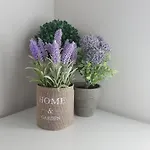 Vip Duplex Apartament