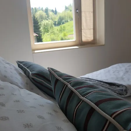 Flat Apartment