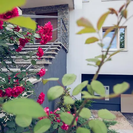 Apartment Flat