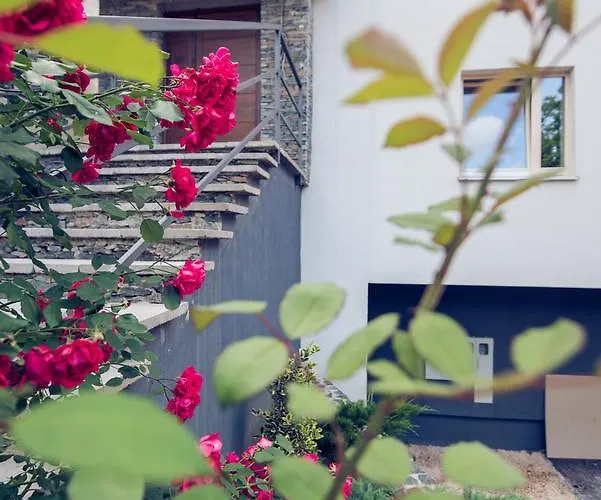 Lägenhet Vip Duplex